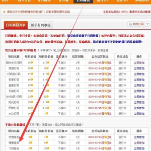 博睿挂机怎么样?简单挂机教程出炉,每天结算!